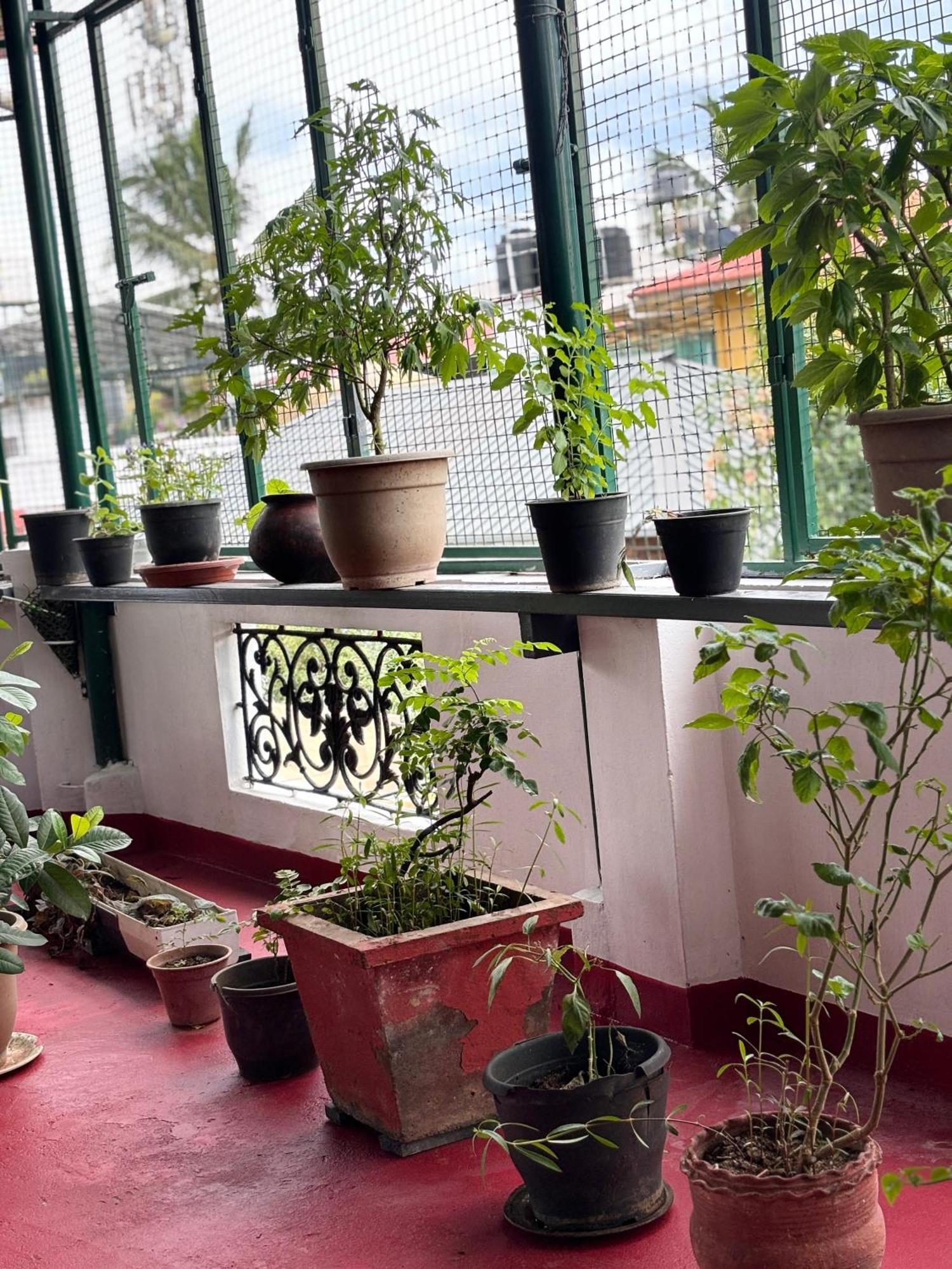 Beza Homestay Kochi 외부 사진